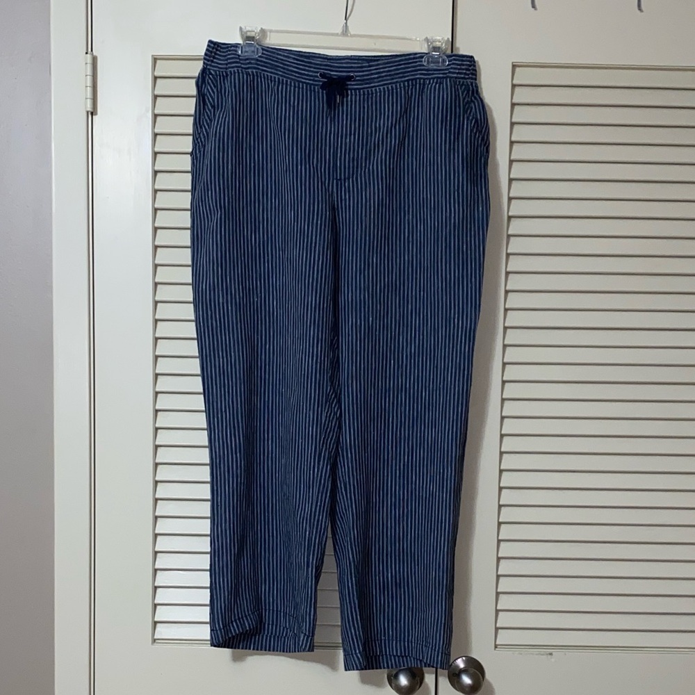 L.L. Bean Navy Striped Chinos